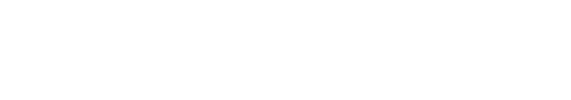 Synergy Nation